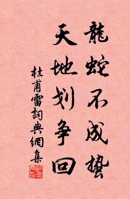 杜甫龙蛇不成蛰,天地划争回书法作品欣赏