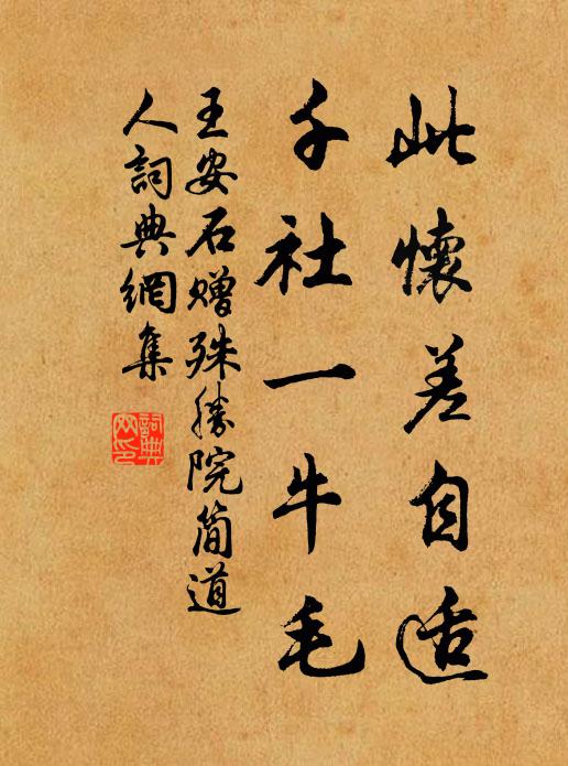 王安石此懷差自適，千社一牛毛書法作品欣賞