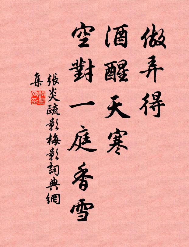 張炎做弄得、酒醒天寒，空對一庭香雪。書法作品欣賞