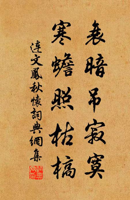 連文鳳衰暗吊寂寞,寒蟾照枯槁書法作品欣賞