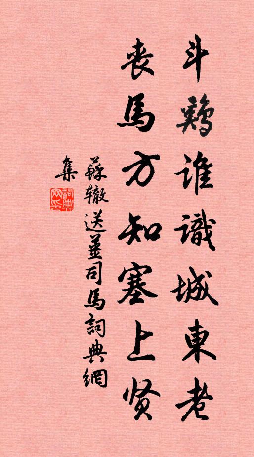 蘇轍斗雞誰識城東老，喪馬方知塞上賢書法作品欣賞