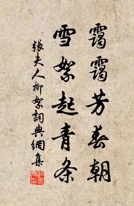 張夫人靄靄芳春朝，雪絮起青條書法作品欣賞