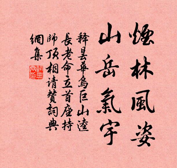 釋曇華煙林風姿,山嶽氣宇書法作品欣賞