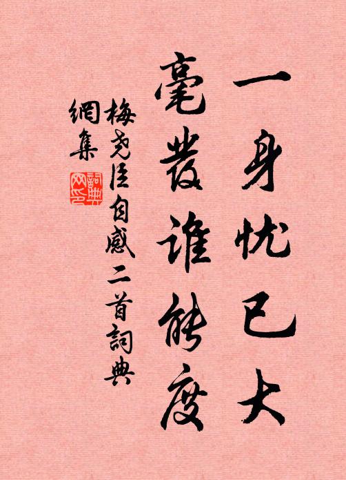 梅尧臣一身忧已大,毫发谁能度书法作品欣赏