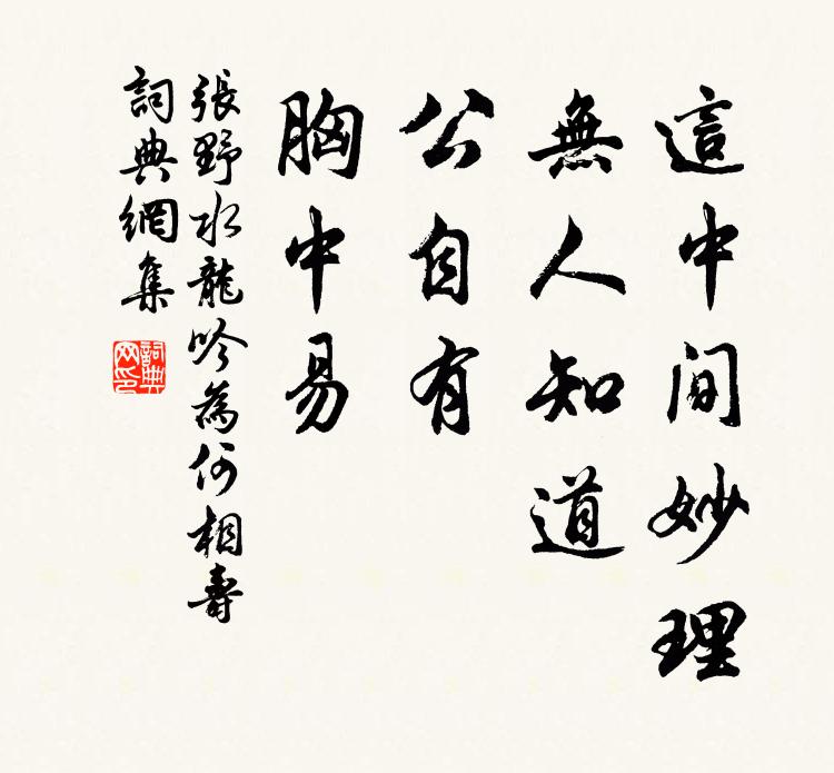 张野这中间妙理,无人知道,公自有,胸中易书法作品欣赏