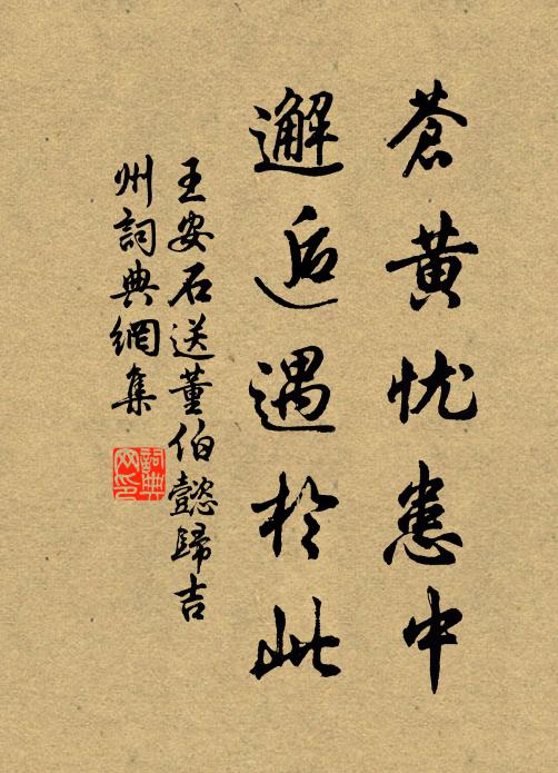 王安石蒼黃憂患中,邂逅遇於此書法作品欣賞