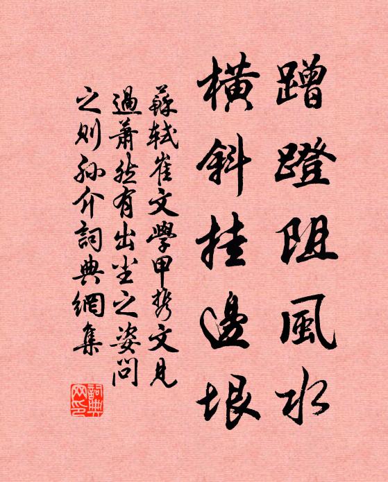 苏轼蹭蹬阻风水,横斜挂边垠书法作品欣赏