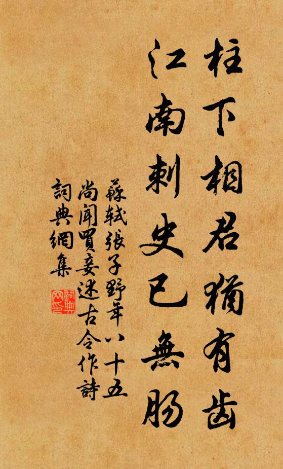 江南刺史已无肠书法作品展开全文苏轼名句,张子野年八十五尚闻买妾述