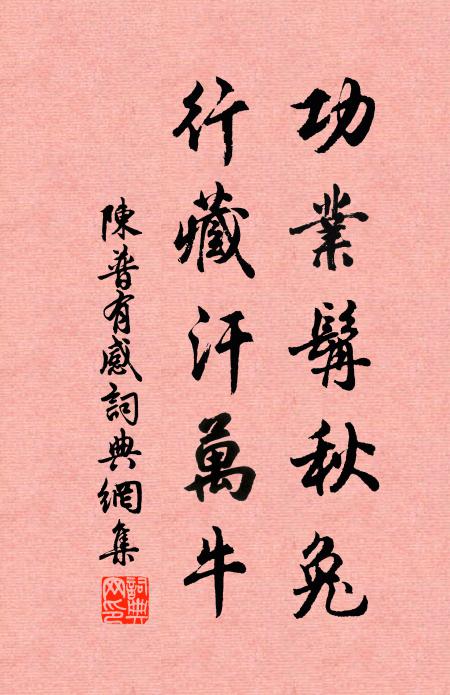 陳普功業髯秋兔,行藏汗萬牛書法作品欣賞