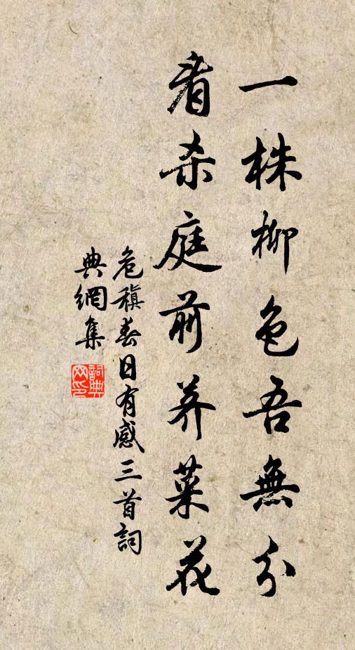危稹一株柳色吾無分，看殺庭前薺菜花書法作品欣賞