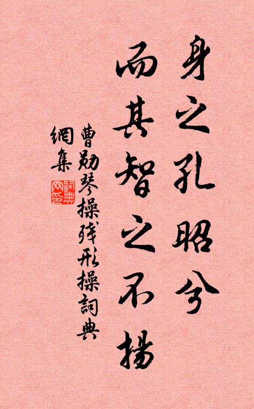 曹勛身之孔昭兮，而其智之不揚(yáng)書法作品欣賞