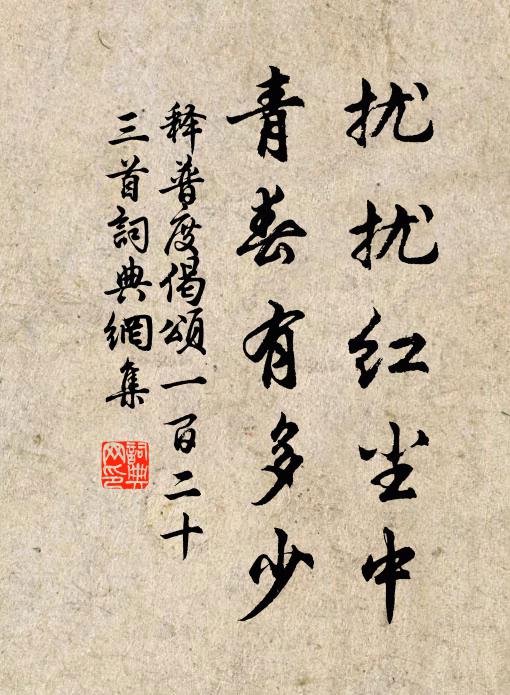 釋普度擾擾紅塵中，青春有多少書(shū)法作品欣賞