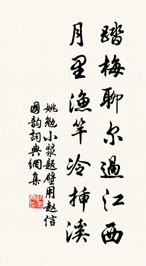 姚勉踏梅聊尔过江西,月里渔竿冷插溪书法作品欣赏