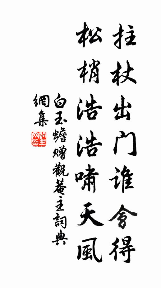 白玉蟾拄杖出門誰會得，松梢浩浩嘯天風書法作品欣賞