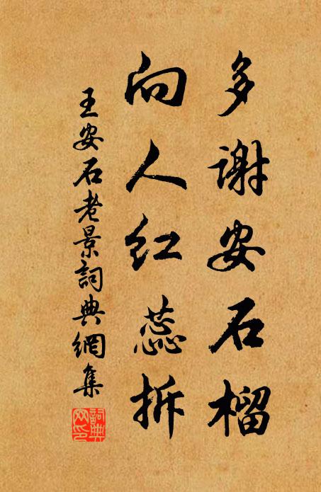 王安石多謝安石榴,向人紅蕊拆書法作品欣賞