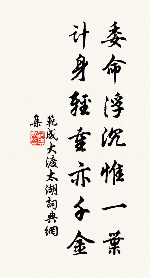 范成大委命浮沉惟一葉，計(jì)身輕重亦千金書法作品欣賞