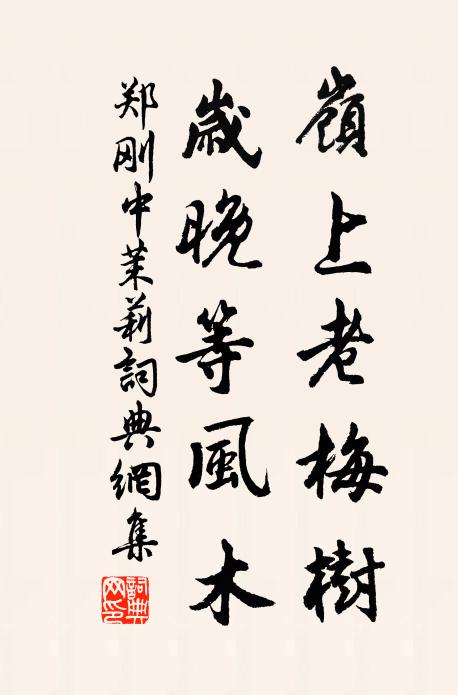 鄭剛中嶺上老梅樹，歲晚等風(fēng)木書法作品欣賞