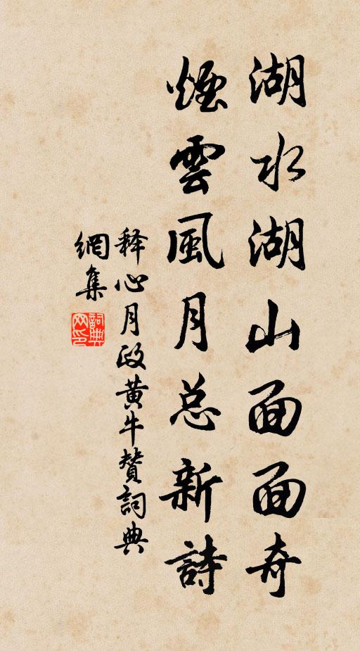 释心月湖水湖山面面奇,烟云风月总新诗书法作品欣赏