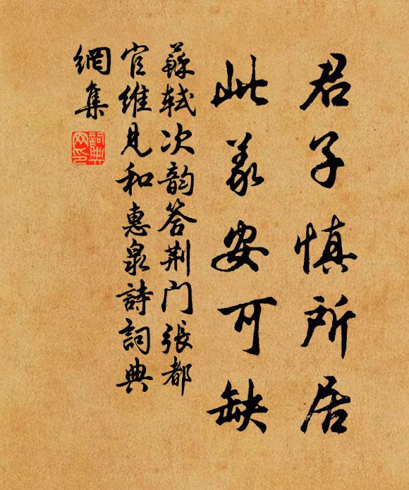 苏轼君子慎所居,此义安可缺书法作品欣赏