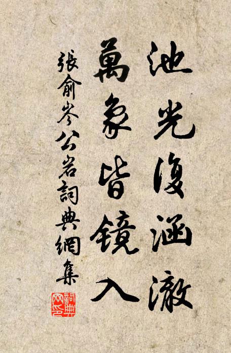 张俞池光复涵澈,万象皆镜入书法作品欣赏