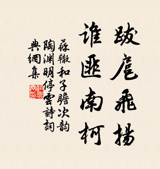 蘇轍跋扈飛揚(yáng)，誰匪南柯書法作品欣賞