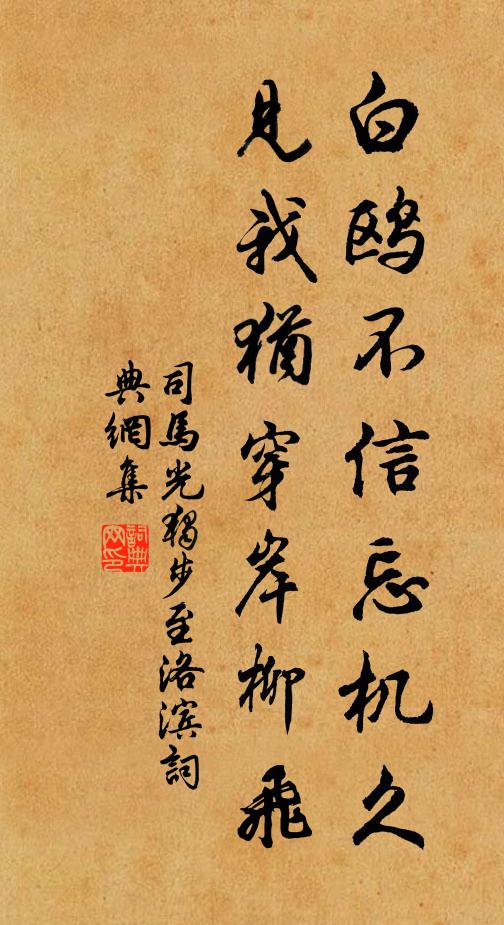 司马光白鸥不信忘机久,见我犹穿岸柳飞书法作品欣赏