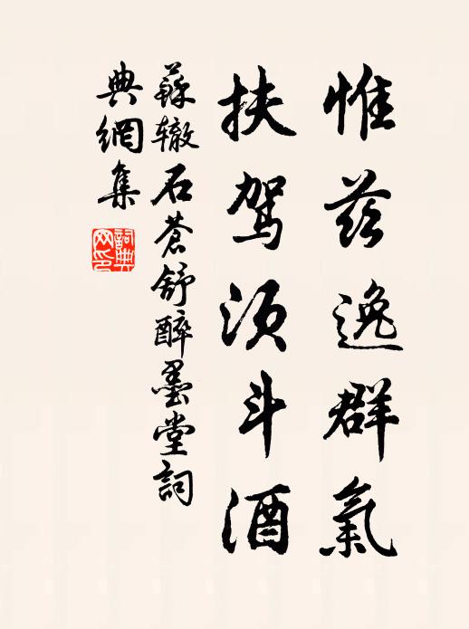 惟兹逸群气,扶驾须斗酒书法作品苏辙名句,石苍舒醉墨堂名句0纠错