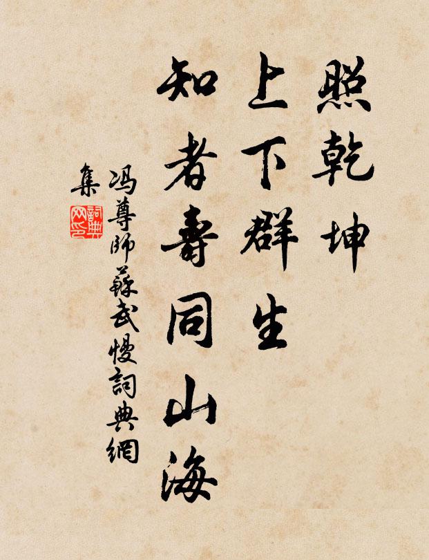 馮尊師照乾坤,上下群生,知者壽同山海書法作品欣賞