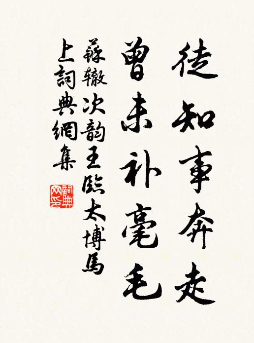 苏辙徒知事奔走,曾未补毫毛书法作品欣赏