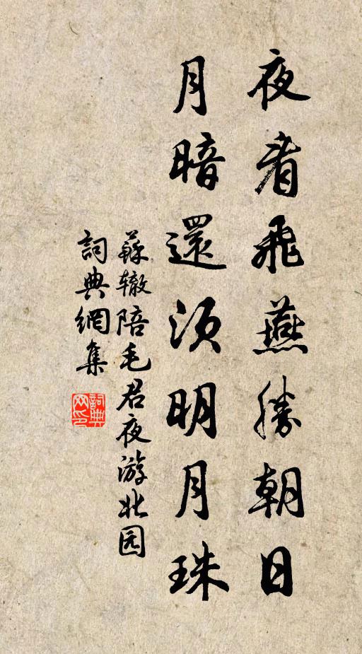 苏辙夜看飞燕胜朝日,月暗还须明月珠书法作品欣赏