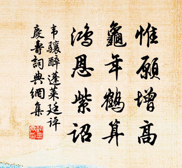 惟愿增高,龟年鹤算,鸿恩紫诏书法作品韦骧名句,醉蓬莱(廷评庆寿)名句0