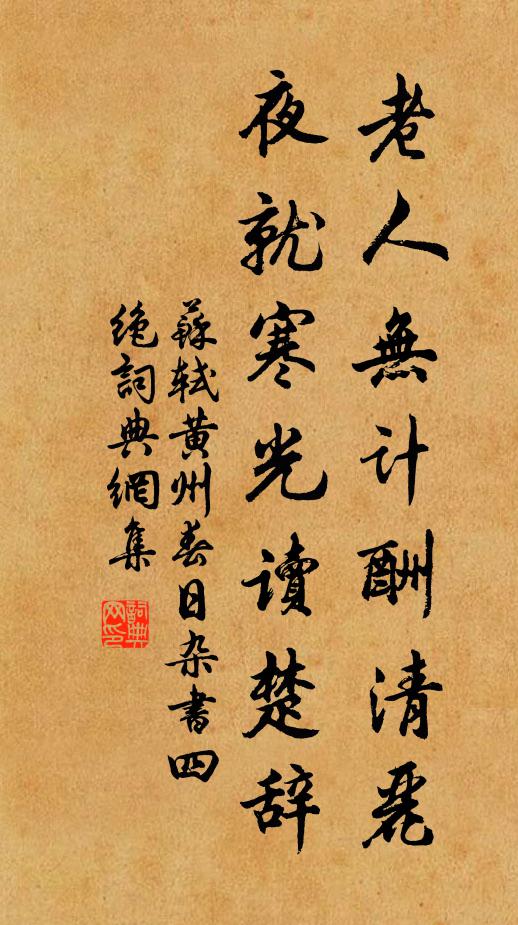 蘇軾老人無計(jì)酬清麗，夜就寒光讀楚辭書法作品欣賞