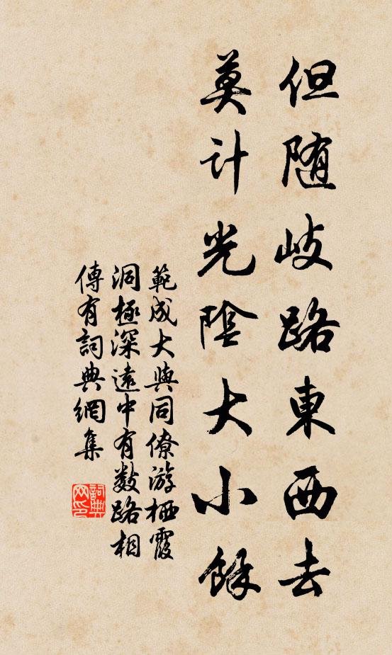 范成大但随岐路东西去,莫计光阴大小余书法作品欣赏