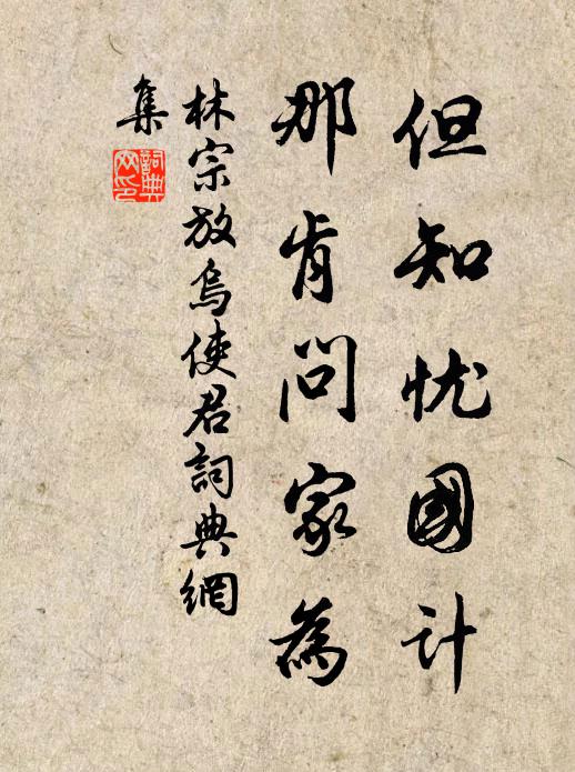 林宗放但知憂國計，那肯問家為書法作品欣賞