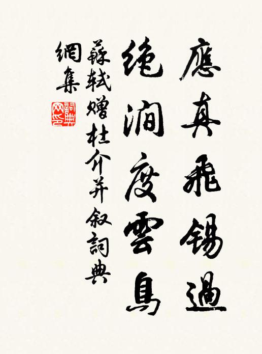蘇軾應(yīng)真飛錫過，絕澗度云鳥書法作品欣賞