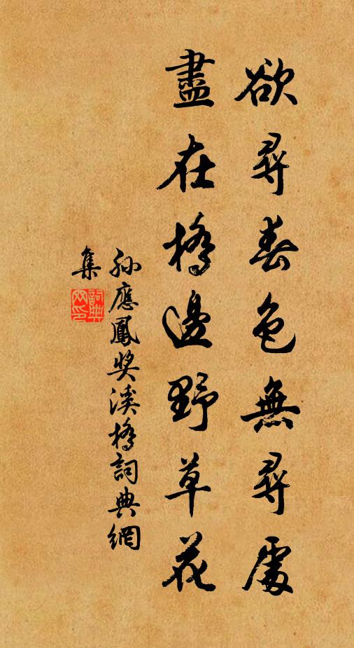 孫應(yīng)鳳欲尋春色無尋處，盡在橋邊野草花書法作品欣賞