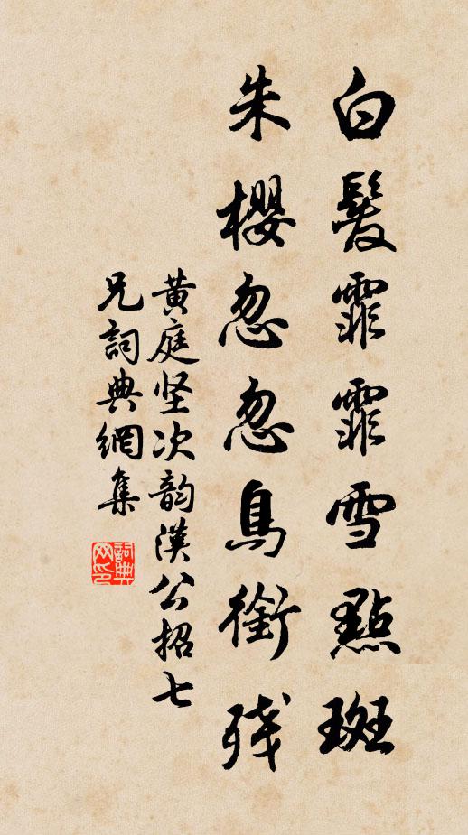 黄庭坚白发霏霏雪点斑,朱樱忽忽鸟衔残书法作品欣赏