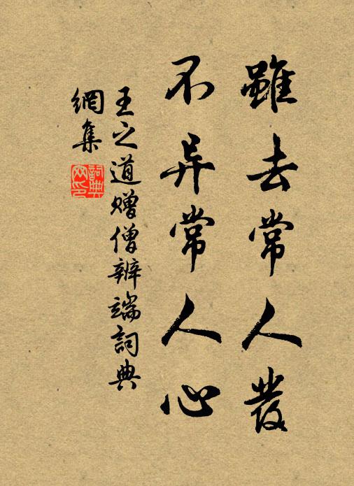 王之道雖去常人發(fā)，不異常人心書法作品欣賞