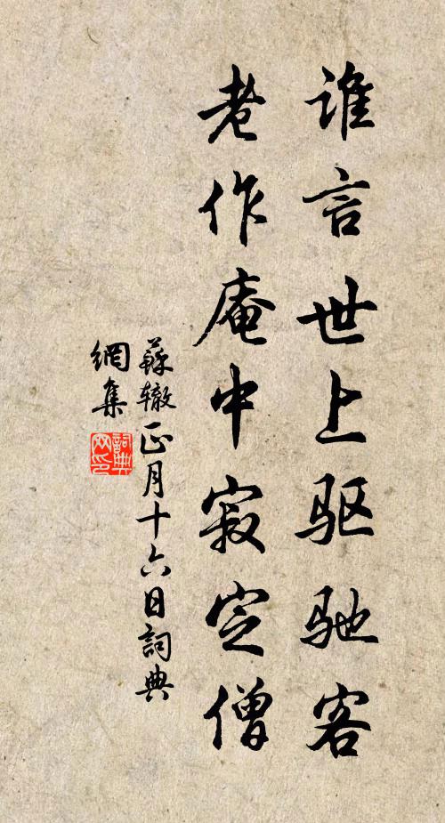 蘇轍誰言世上驅(qū)馳客，老作庵中寂定僧書法作品欣賞