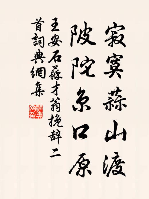 王安石寂寞蒜山渡，陂陀京口原書法作品欣賞