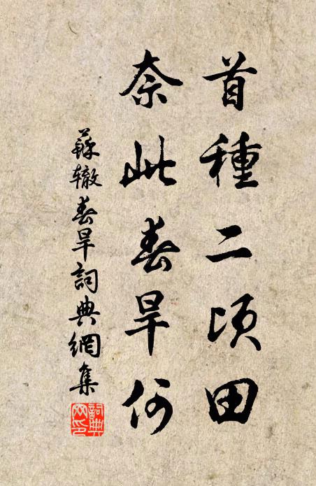 苏辙首种二顷田,奈此春旱何书法作品欣赏