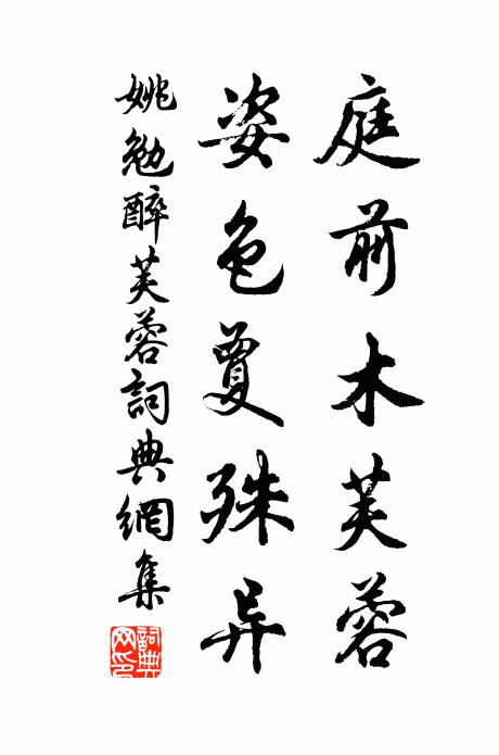 姚勉庭前木芙蓉,姿色夐殊異書法作品欣賞