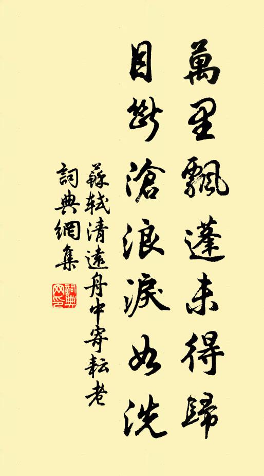 蘇軾萬里飄蓬未得歸，目斷滄浪淚如洗書法作品欣賞