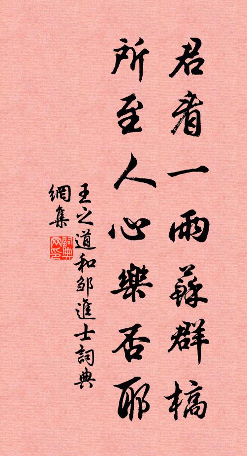 王之道君看一雨蘇群槁，所至人心樂(lè)否耶書(shū)法作品欣賞