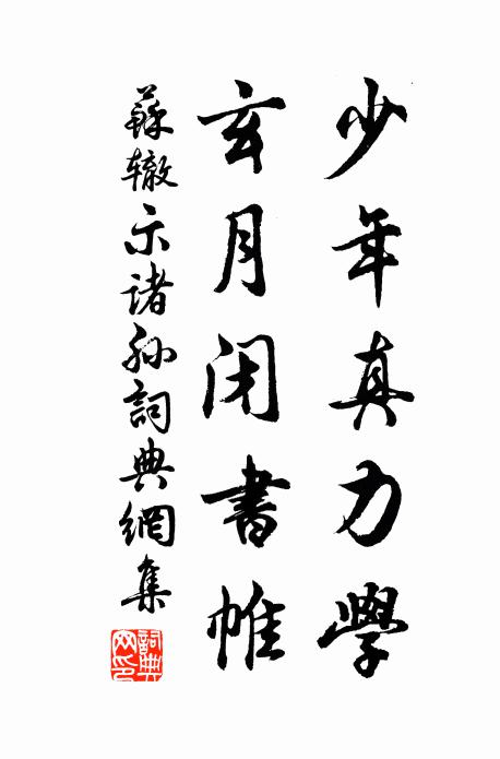 蘇轍少年真力學,玄月閉書帷書法作品欣賞