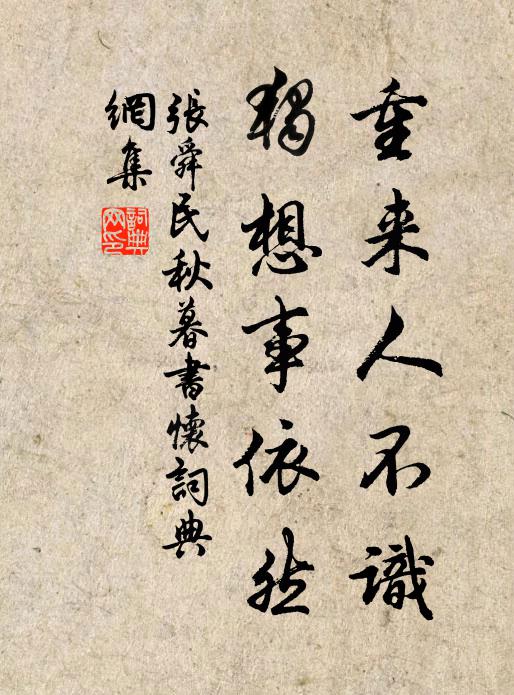 張舜民重來人不識，獨(dú)想事依然書法作品欣賞