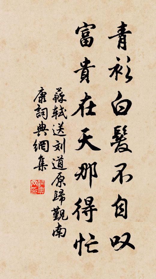 蘇軾青衫白髮不自嘆,富貴在天那得忙書法作品欣賞