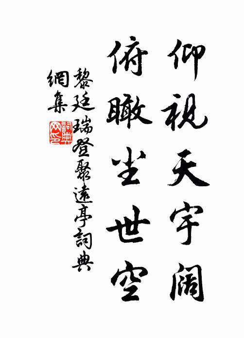 黎廷瑞仰视天宇阔,俯瞰尘世空书法作品欣赏