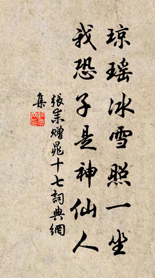 張耒瓊瑤冰雪照一坐,我恐子是神仙人書法作品欣賞