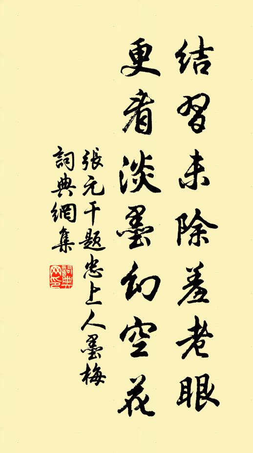 张元干结习未除羞老眼,更看淡墨幻空花书法作品欣赏